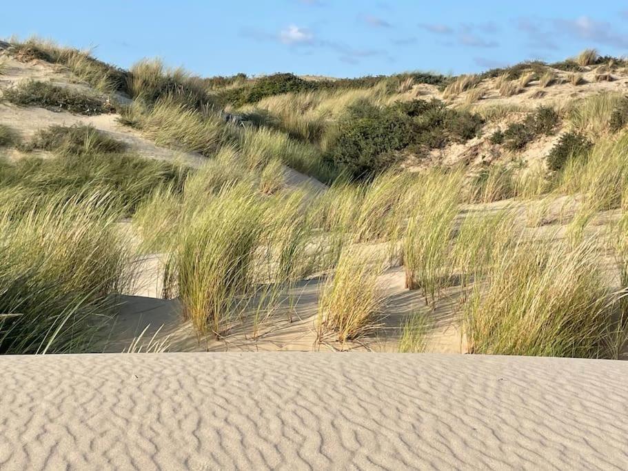 كوسيك Charmante Maison Individuelle Proche Du Touquet المظهر الخارجي الصورة