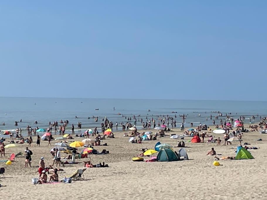 كوسيك Charmante Maison Individuelle Proche Du Touquet المظهر الخارجي الصورة